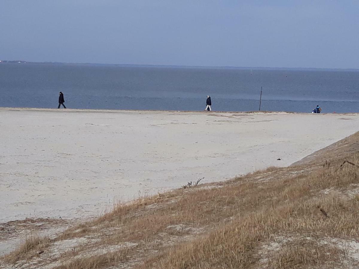 Familienurlaub In Ostfriesland Fuer Max 7 Pers In 2 Wohnungen, Auch Einzeln Wohnungen Utarp Eksteriør bilde